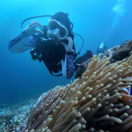 Pandan Bungalow ギリ・アイル エクステリア 写真