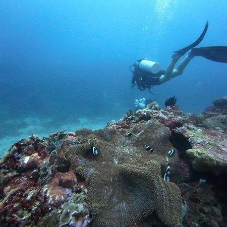 Pandan Bungalow ギリ・アイル エクステリア 写真